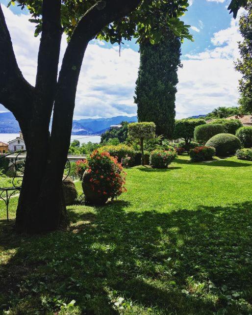Bed and Breakfast Il Motto Di Tommy Castelveccana Екстер'єр фото
